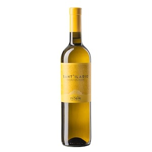 Bianchello del Metauro DOC “Vigna Sant'Ilario” 
